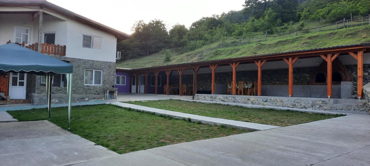 Telteu Florian Hotel Dubova Exterior photo